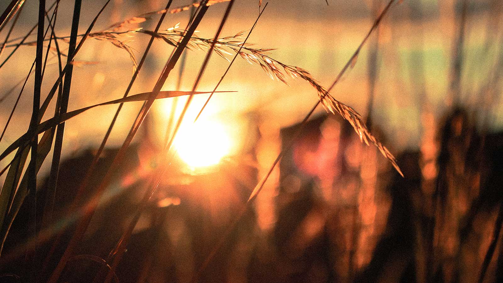 REACHRIGHT demo Sermon #1